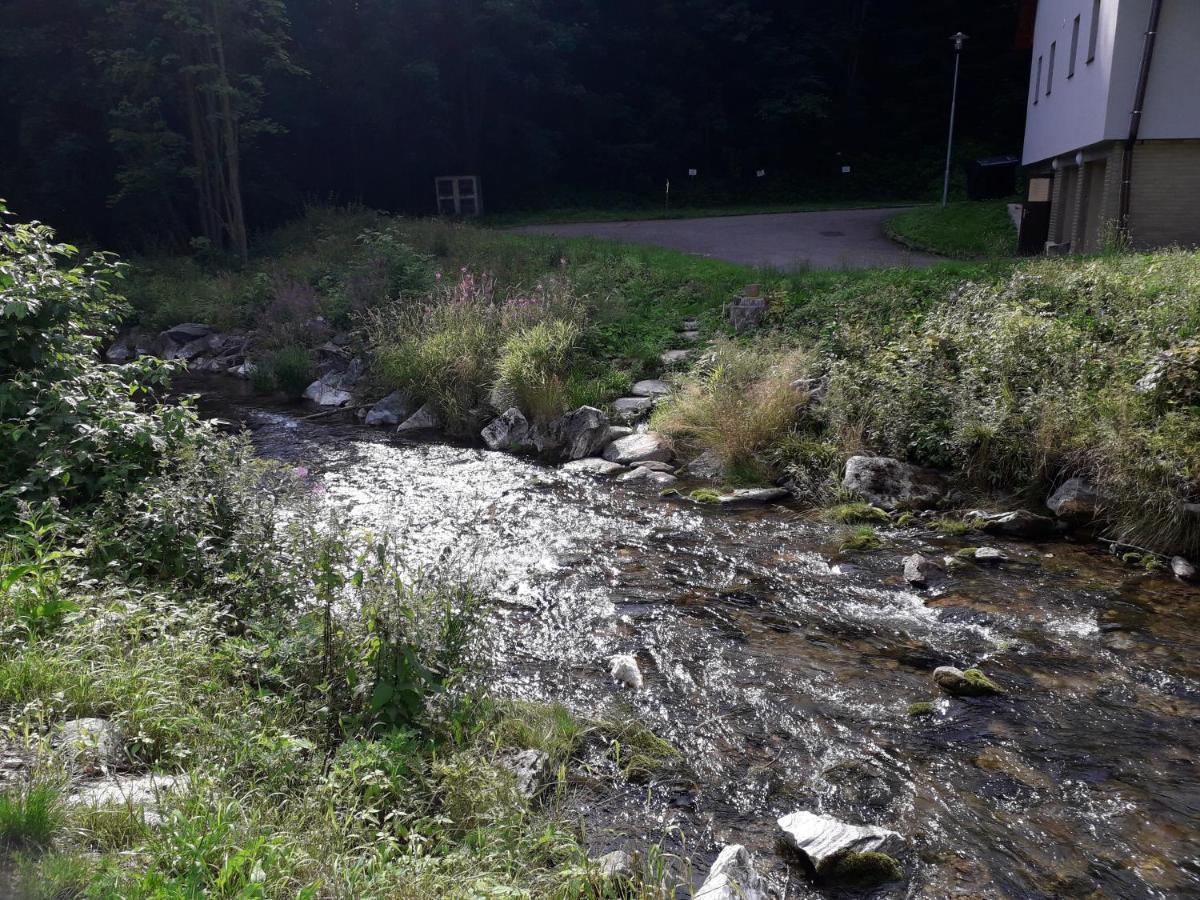 Apartmany Vakstav Dolni Morava Bagian luar foto